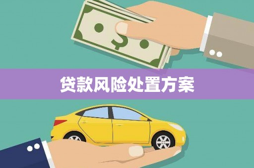 秭归贷款风险处置方案