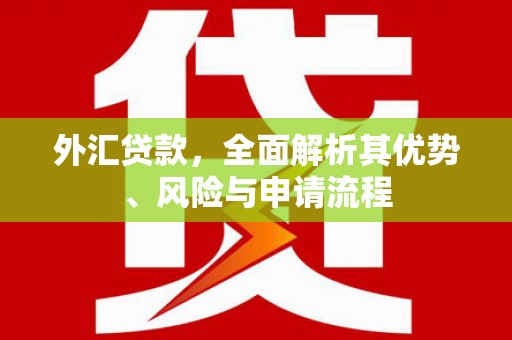 秭归外汇贷款，全面解析其优势、风险与申请流程