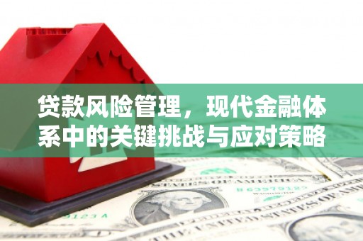 秭归贷款风险管理，现代金融体系中的关键挑战与应对策略