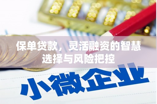 秭归保单贷款，灵活融资的智慧选择与风险把控