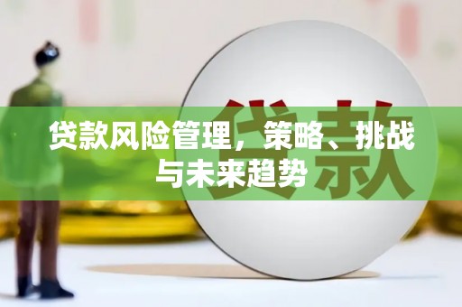 秭归贷款风险管理，策略、挑战与未来趋势