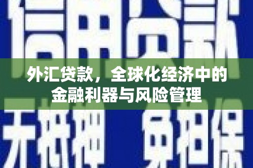 秭归外汇贷款，全球化经济中的金融利器与风险管理