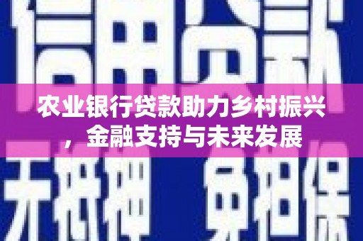 秭归农业银行贷款助力乡村振兴，金融支持与未来发展