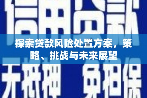 秭归探索贷款风险处置方案，策略、挑战与未来展望