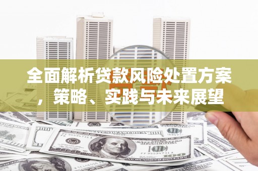 秭归全面解析贷款风险处置方案，策略、实践与未来展望