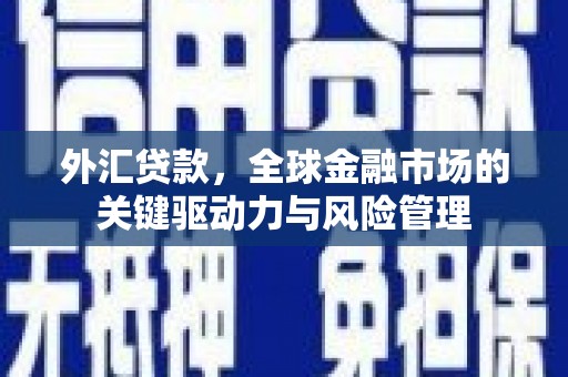 秭归外汇贷款，全球金融市场的关键驱动力与风险管理