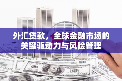 秭归外汇贷款，全球金融市场的关键驱动力与风险管理