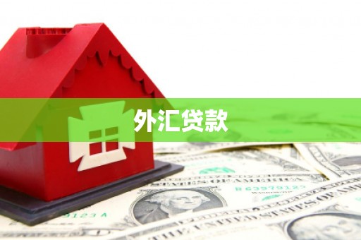 秭归外汇贷款