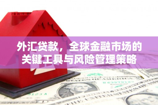 秭归外汇贷款，全球金融市场的关键工具与风险管理策略