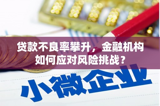 秭归贷款不良率攀升，金融机构如何应对风险挑战？