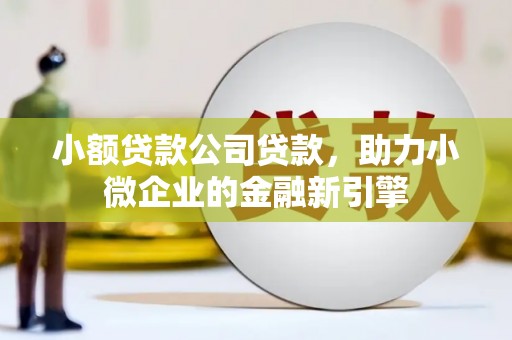 秭归小额贷款公司贷款，助力小微企业的金融新引擎