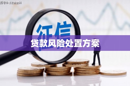 秭归贷款风险处置方案