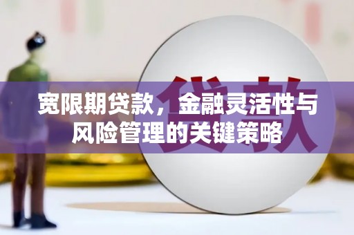 秭归宽限期贷款，金融灵活性与风险管理的关键策略