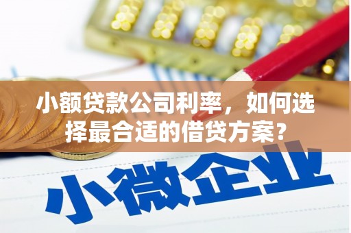 秭归小额贷款公司利率，如何选择最合适的借贷方案？