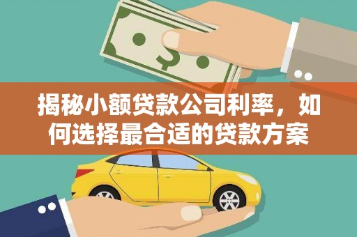 秭归揭秘小额贷款公司利率，如何选择最合适的贷款方案