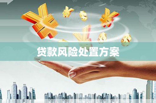 秭归贷款风险处置方案
